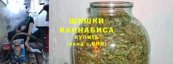 молекула духа Елабуга