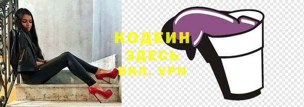молекула духа Елабуга