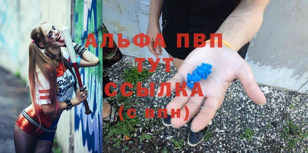 прущие крисы Ельня