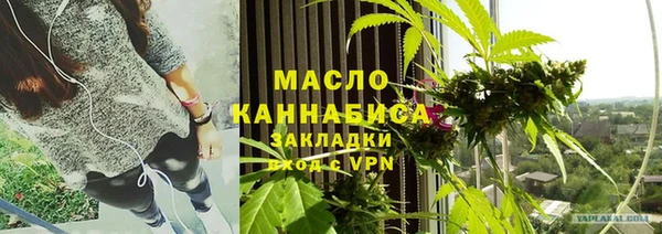 молекула духа Елабуга