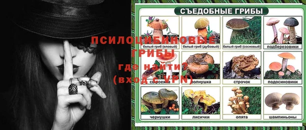 эйфоретик Нязепетровск