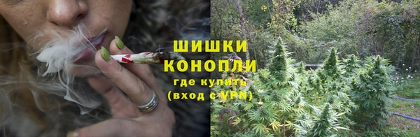 сатива Елизово