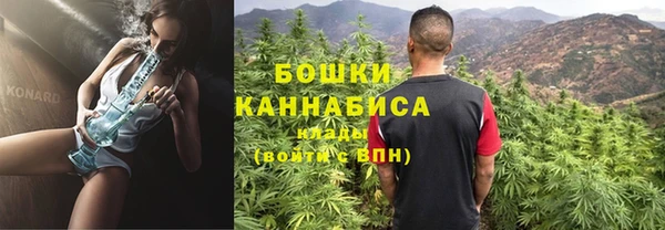сатива Елизово