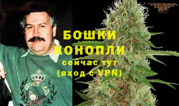 прущие крисы Ельня