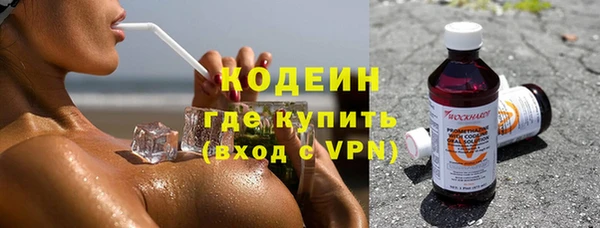 прущие крисы Ельня