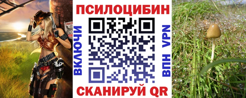 ссылка на мегу ССЫЛКА  Реж  мориарти как зайти  Псилоцибиновые грибы ЛСД 