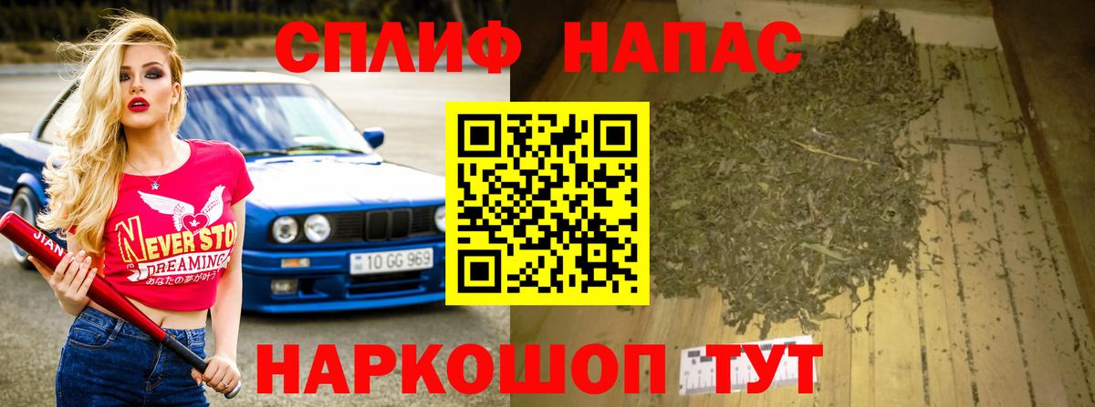 Конопля сатива Реж